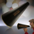 13" Director's Megaphone